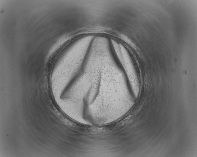 X0000074261456200609151749