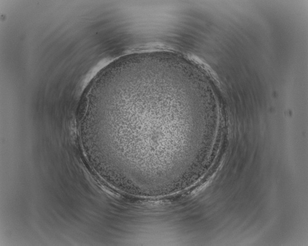 X0000074261457200609151749