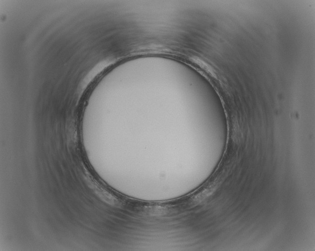 X0000074261458200609151749