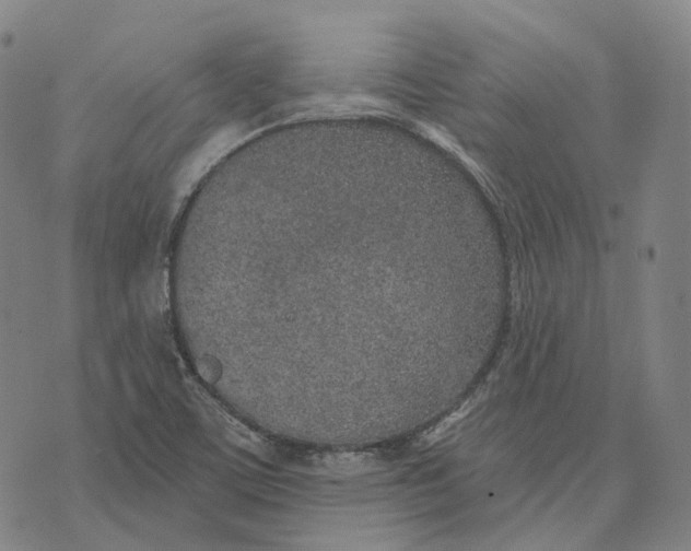 X0000074261459200609151749