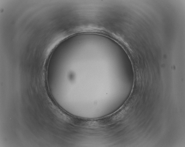 X0000074261463200609151749