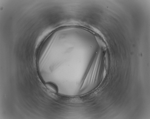 X0000074261464200609151749