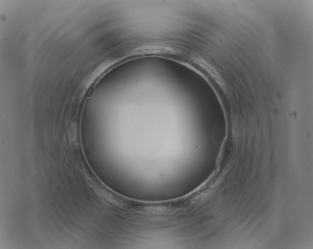 X0000074261465200609151749