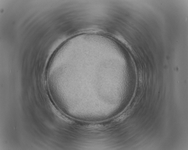 X0000074261466200609151749