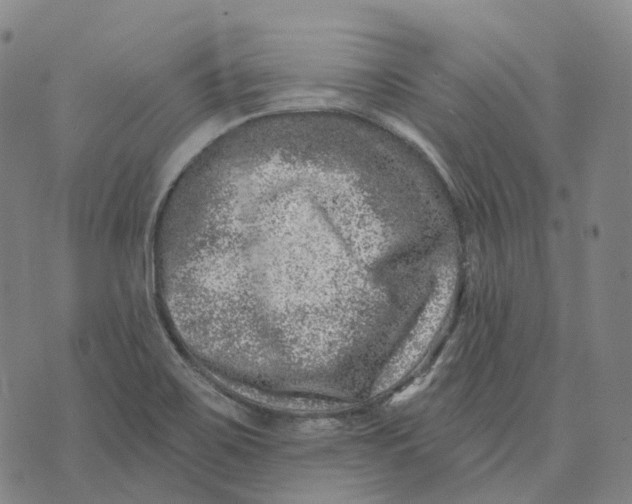 X0000074261467200609151749