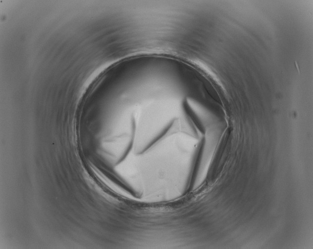 X0000074261468200609151749