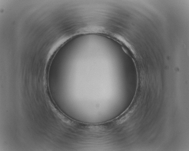 X0000074261469200609151749