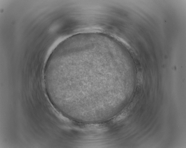 X0000074261470200609151749