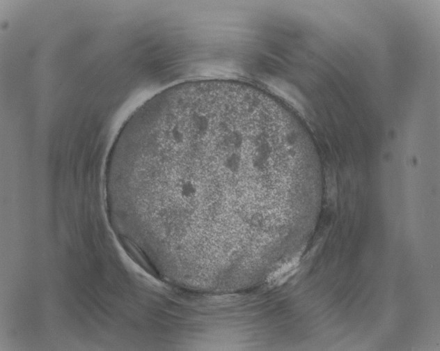 X0000074261471200609151749