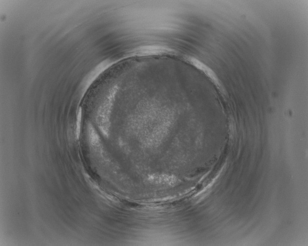 X0000074261473200609151749