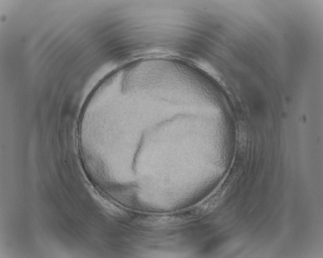 X0000074261474200609151749