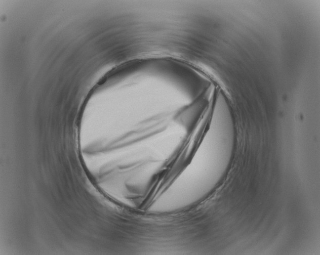 X0000074261476200609151749