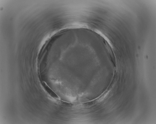 X0000074261477200609151749