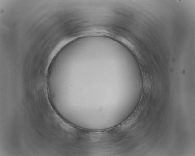 X0000074261478200609151749