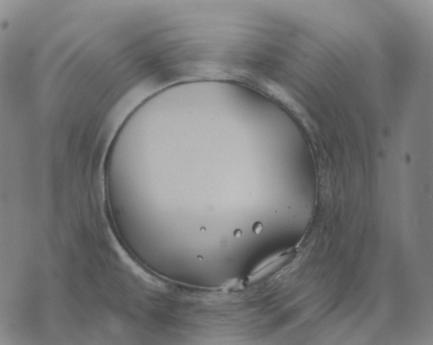 X0000074261479200609151749