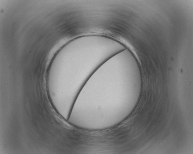 X0000074261480200609151749