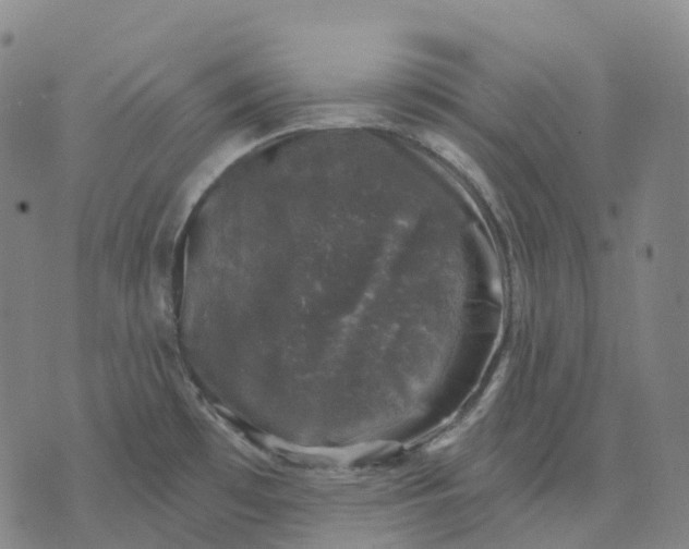 X0000074261481200609151749