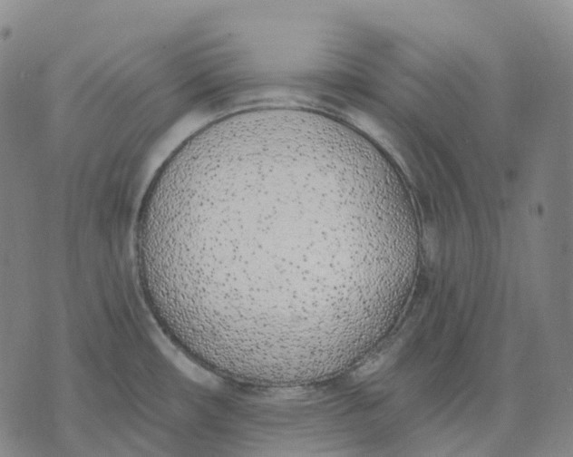 X0000074261482200609151749