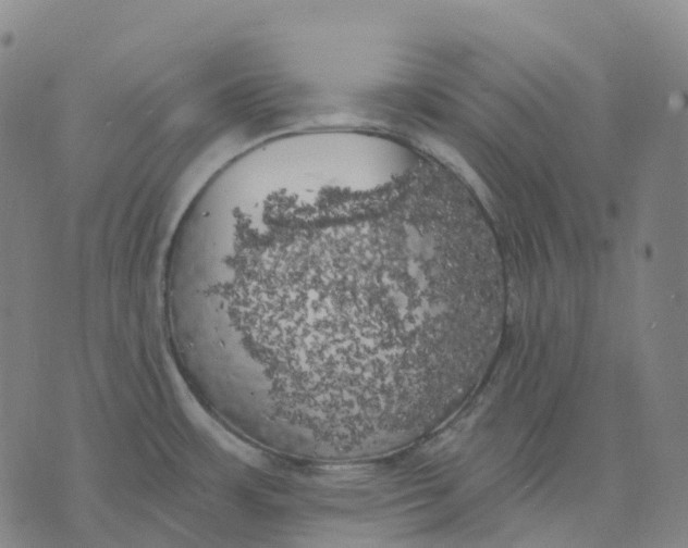 X0000074261483200609151749