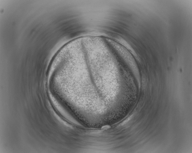 X0000074261484200609151749