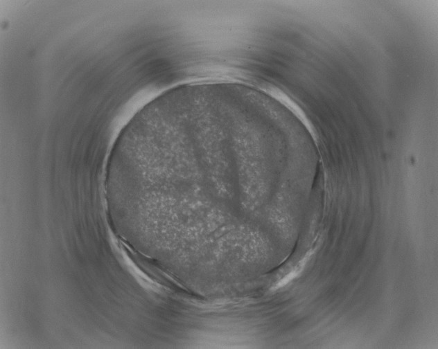 X0000074261485200609151749