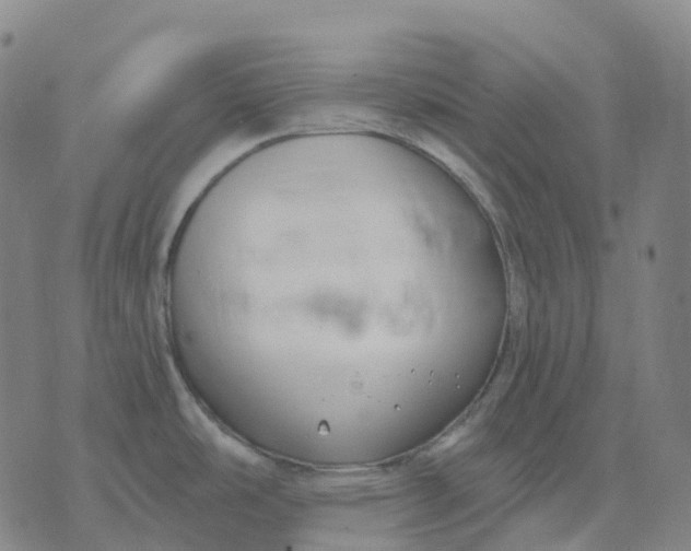 X0000074261486200609151749