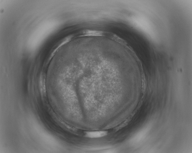 X0000074261487200609151749