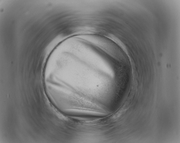 X0000074261488200609151749