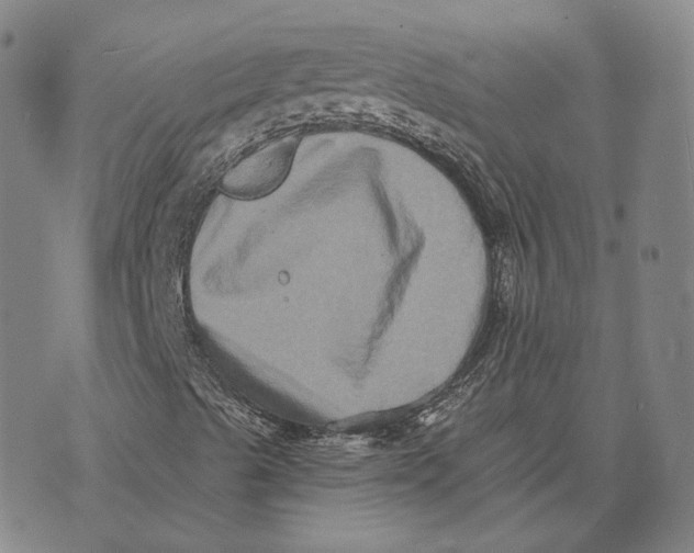 X0000074261489200609151748