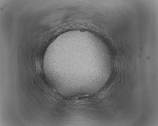 X0000074261490200609151748