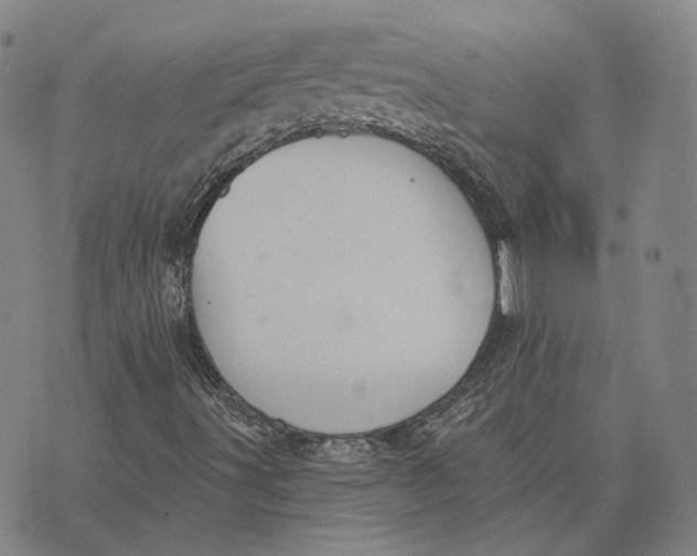 X0000074261491200609151748