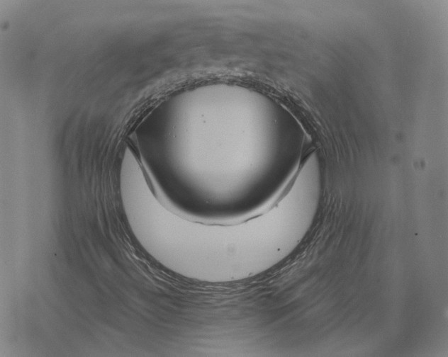 X0000074261492200609151748