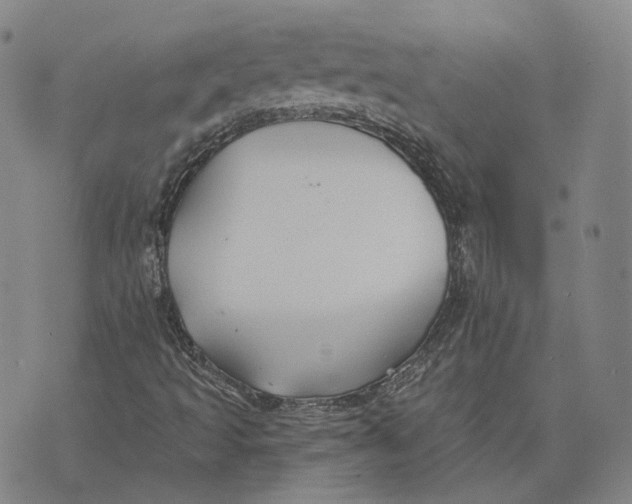 X0000074261493200609151748