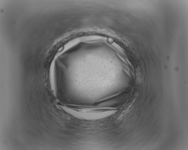 X0000074261494200609151748