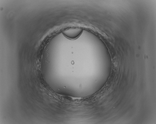 X0000074261495200609151748