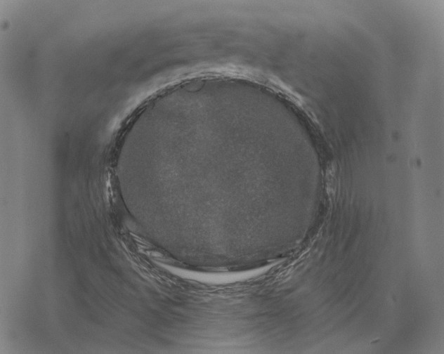 X0000074261496200609151748