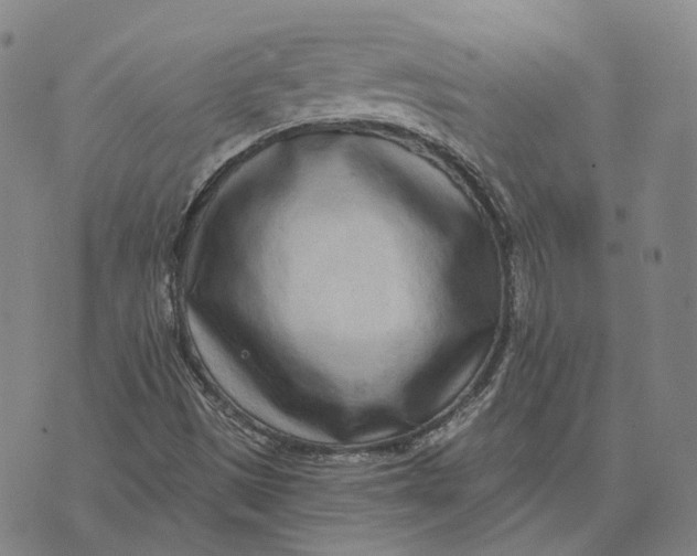 X0000074261497200609151748