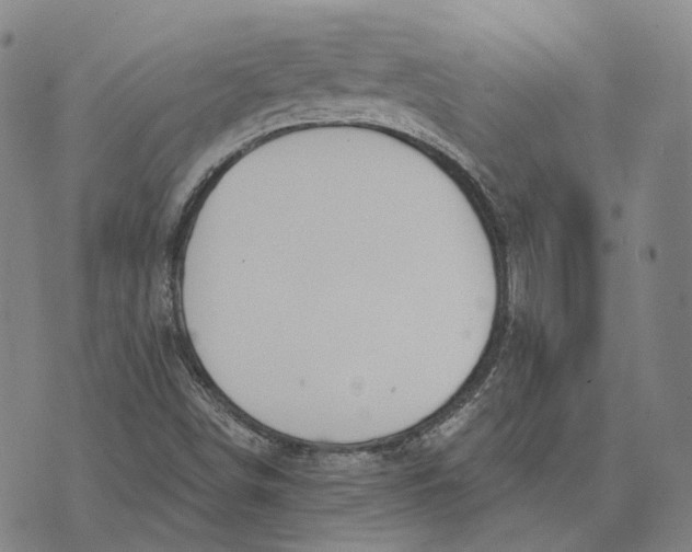 X0000074261498200609151748