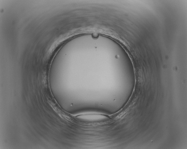 X0000074261499200609151748