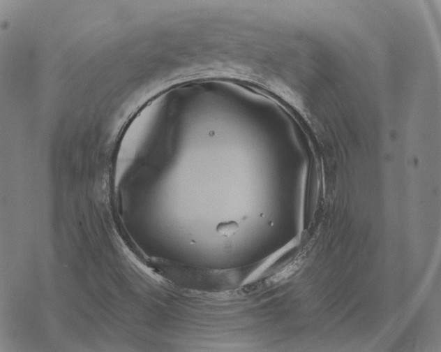 X0000074261500200609151748