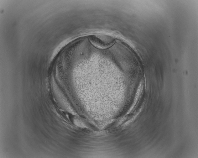 X0000074261501200609151748