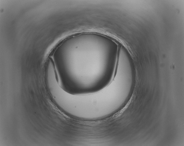 X0000074261502200609151748