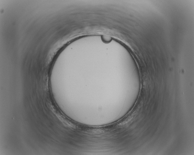 X0000074261507200609151748