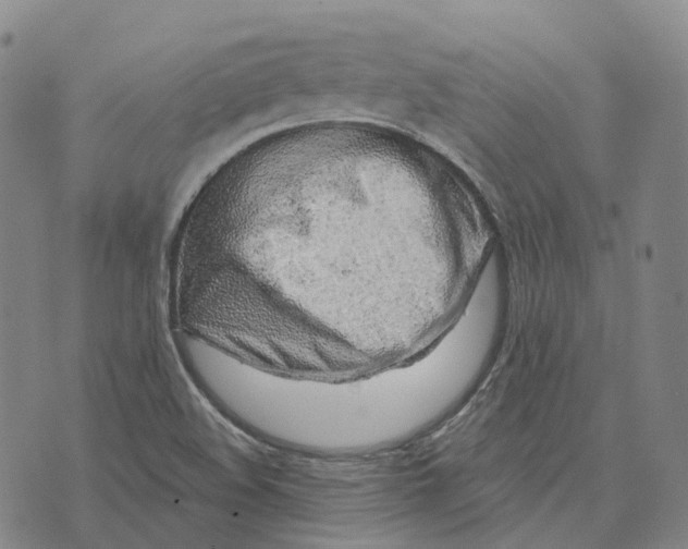 X0000074261508200609151748