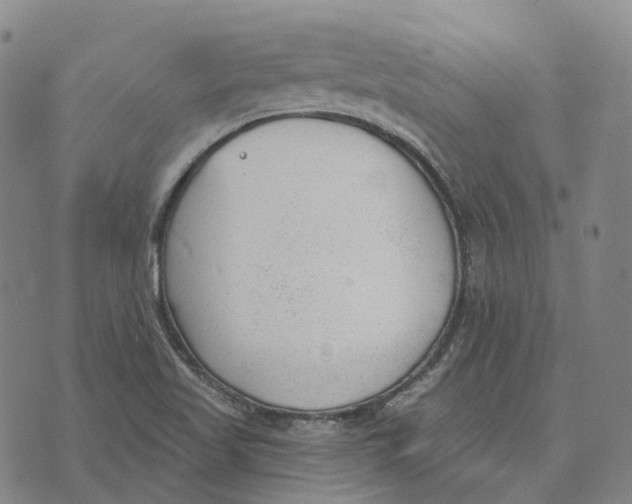 X0000074261509200609151748