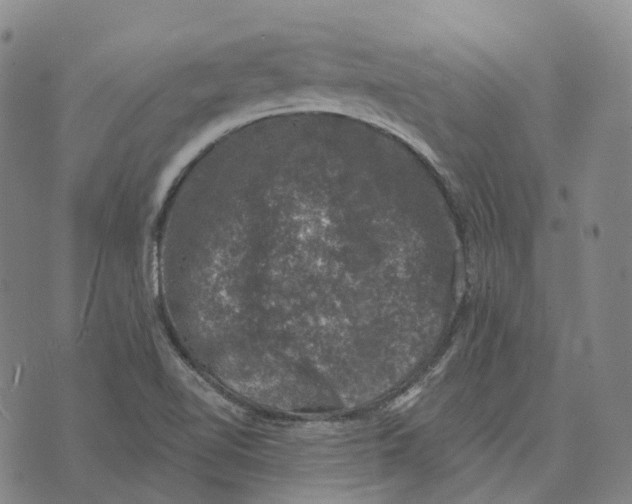 X0000074261510200609151748