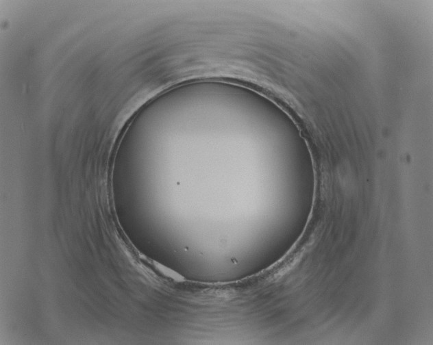 X0000074261513200609151748