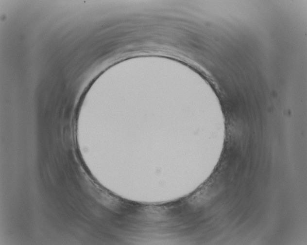 X0000074261514200609151748