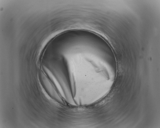 X0000074261515200609151748