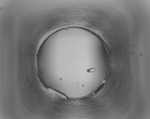 X0000074261516200609151748